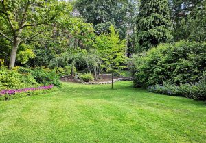 Optimiser l'expérience du jardin à Marsannay-le-Bois